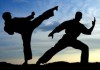 Кыргызстанские спортсмены примут участие в Международном фестивале боевых искусств в Казахстане