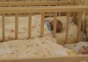 В Домах ребенка Кыргызстана находится 20 детей-отказников трудовых мигрантов в России