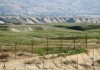 Узбекистан ввел еще одно ограничение на пересечение границы с Кыргызстаном