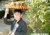 В Кыргызстане за первое полугодие сократилось число работающих детей на 45,1 %