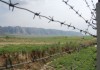 Таджикистан и Узбекистан не стали закрывать границы с Кыргызстаном из-за бубонной чумы