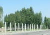 На кыргызско-узбекской границе вдоль стратегической дороги Бишкек-Ош натягивают колючую проволоку