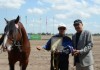 На столичном ипподроме «Ак-Кула» прошла выставка лошадей «Кыргыз тулпарлары»
