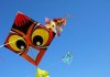 В Бишкеке состоится фестиваль воздушных фигур «Властелин небес», посвященный 135-летию Бишкека