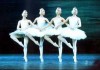 В Бишкеке 71-й театральный сезон в театре оперы и балета начнется с показа «Лебединого озера»