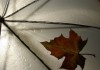 С 13 по 16 сентября ожидается резкое похолодание