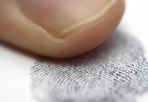 За 2013 год база отпечатков пальцев пополнилась на 15 тысяч лиц