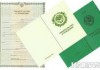 В жилмассивах Бишкека выявили почти 500 детей без свидетельства о рождении