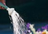 Атамбаев обещает привлечь миллиардные кредиты для обеспечения населения поливной водой