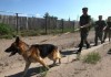 Начальство погранслужбы повышает уровень своих знаний