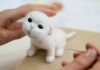 Для молодых людей с ограниченными возможностями открыли бесплатные курсы