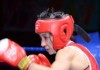 Болотбек уулу Эркин стал лучшим боксером чемпионата КР