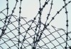 Под амнистию, приуроченную к 65-летию Всеобщей декларации прав человека, не подпадут лица, осужденные за коррупцию
