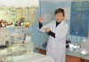 Лаборатория ветеринарно-санитарной экспертизы на территории Ошского рынка не соответствует международным стандартам