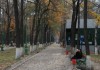 В Оше занялись культурным воспитанием горожан