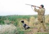 За 10 лет количество охотников в Кыргызстане увеличилось почти в два раза