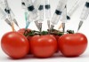 Кыргызстан ждут международные суды в случае запрета ввоза продуктов с ГМО