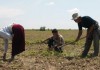 Этническая принадлежность может служить искрой, чтобы разжечь конфликт использования поливной воды