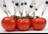 Правила ВТО не запрещают прекращение в Кыргызстан ввоза продуктов с ГМО – депутат