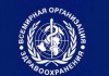 Более жесткое регулирование экономики способно остановить эпидемию ожирения — Всемирная организация здравоохранения