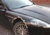 Собака попыталась съесть элитный автомобиль