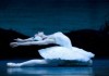 В Бишкеке пройдет первый международный фестиваль балетного искусства