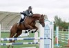 В Кыргызстане появится новая дисциплина по конному спорту
