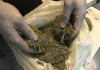 В Караколе подследственный спрятал почти 20 кг марихуаны на чердаке заброшенного дома