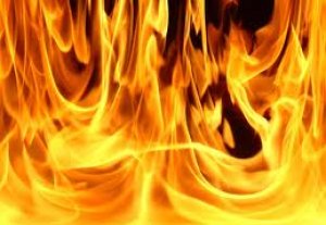 За прошедшие сутки в Бишкеке произошло 8 пожаров