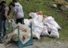 В Аламединском ущелье активисты собрали более 2 тонн мусора