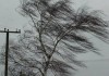 В Джалал-Абаде сильным ветром снесло крышу дома