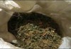 Более 800 граммов марихуаны милиционеры нашли у пожилого мужчины