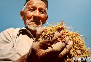 В Бишкеке открылась фотовыставка, посвященная продовольствию