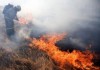 В селе Арашан сгорело уже 113 гектаров сухой травы