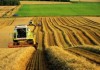 Ассоциация агробизнесменов: Аграрные страны – это бедные страны