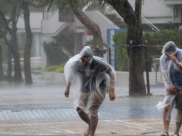 Из-за тайфуна «Вонгфонг» пострадало 100 человек