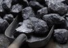 В Нарынской области директор школы присвоил почти 20 тонн угля
