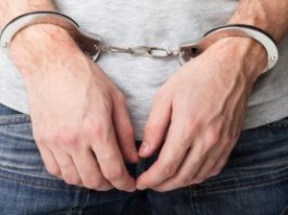 Задержан гражданин Узбекистана, пытавшийся провести контрабандой ели на 2,5 млн сомов
