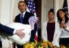 Президент США помиловал индейку и поздравил нацию с Днем благодарения