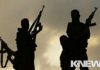 «Пешмерга» освободили от джихадистов десятки деревень на севере Ирака