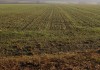 На развитие орошаемого земледелия в Иссык -Кульской и Нарынской областях выделят 59,5 млн долларов США