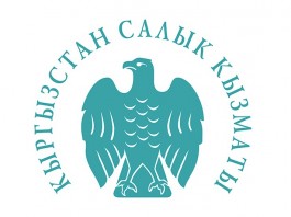 Алмамбет Шыкмаматов: Налоговая служба будет партнёром бизнеса и превратится в сервисный орган