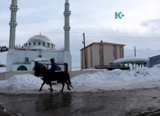 Кыргызы турецкой провинции Ван: от чужбины до чужбины