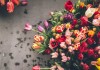 В Кыргызпатенте намерены закупить цветов на 420 тысяч сомов
