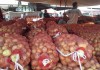 В Казахстане крестьяне терпят убытки из-за дешевых овощей из Кыргызстана