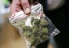За неделю оперативники ГСКН изъяли около 8 кг марихуаны
