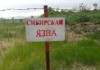 Минсельхоз Казахстана: опасности из-за сибирской язвы в Кыргызстане нет