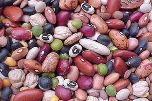 Кыргызстан ведет переговоры по экспорту фасоли на рынок Дубая