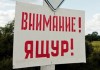 Минсельхоз: Ситуация с ящуром в соседних странах обстоит хуже, чем в Кыргызстане