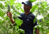 Нарынские фермеры получили финансовую поддержку от ООН